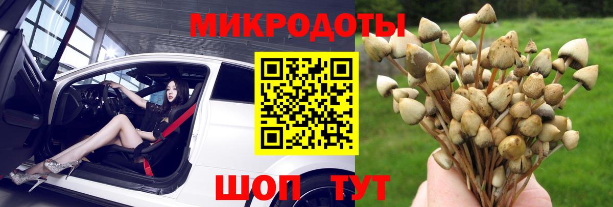 Псилоцибиновые грибы мицелий  Стерлитамак 