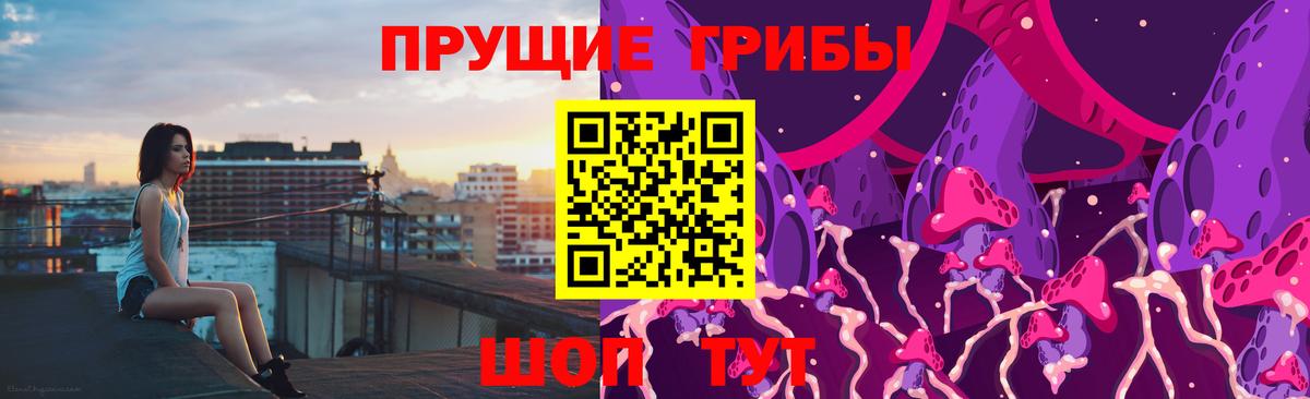 Галлюциногенные грибы ЛСД  закладка  Стерлитамак  Вход с VPN 